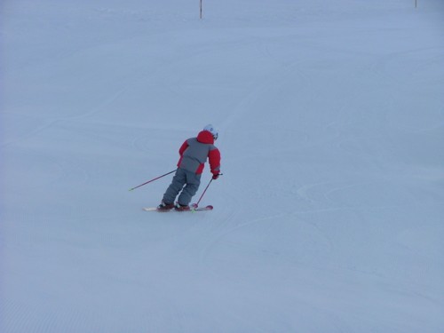 DSCF5277.JPG (16KB)