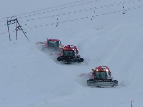DSCF5298.JPG (25KB)