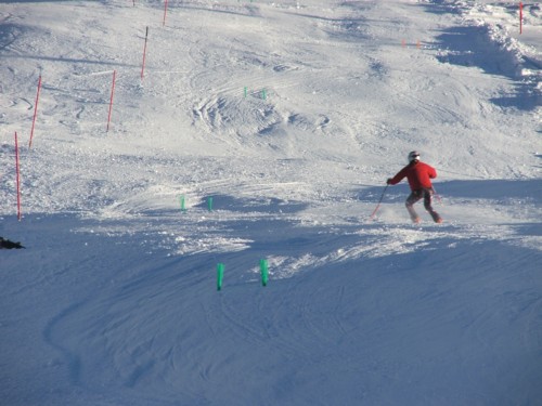 DSCF0239.JPG (51KB)