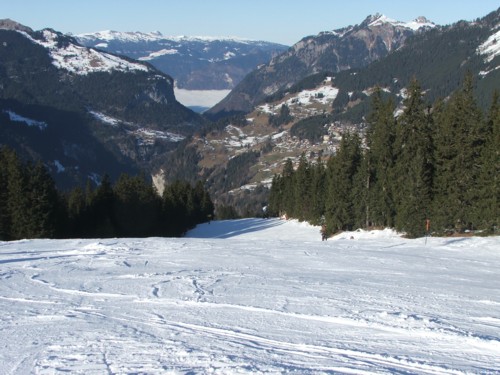DSCF0379.JPG (60KB)