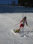 IMG_0454.JPG (50KB)