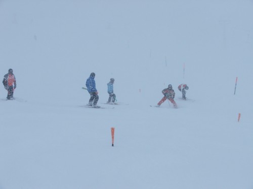DSCF0942.JPG (12KB)
