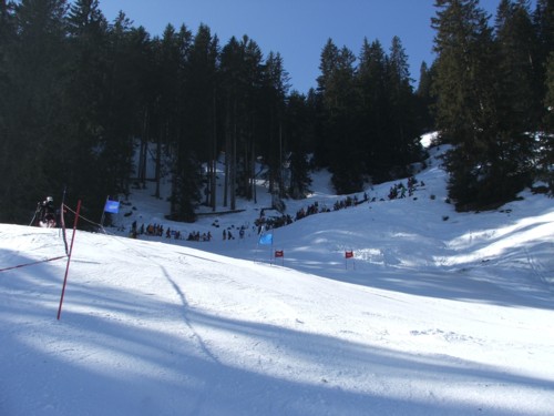 18 DSCF1270.JPG (45KB)