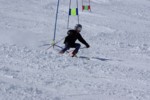 IMGP5158.JPG (49KB)