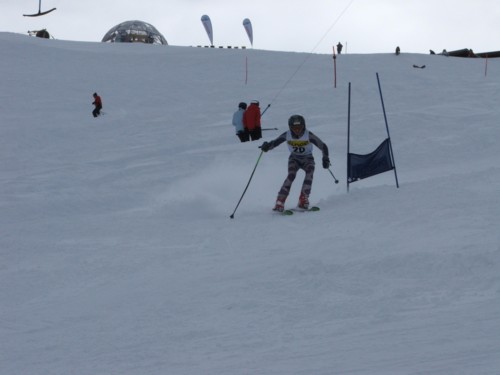 DSCF1557.JPG (25KB)