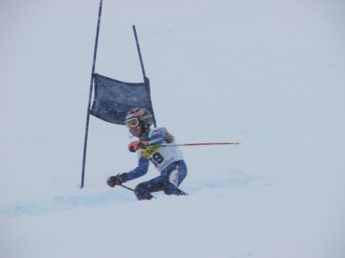 DSCF1572.JPG (17KB)