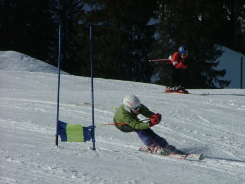 DSCF6342.JPG (46KB)