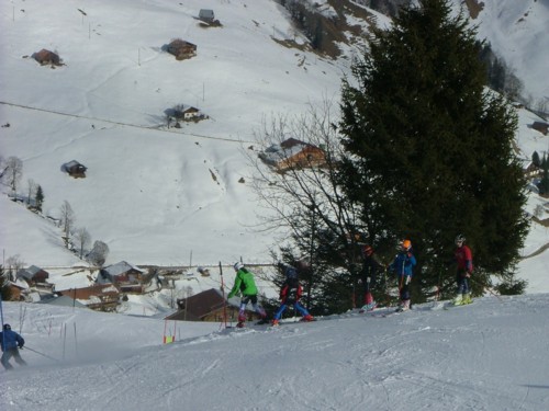 DSCF6348.JPG (54KB)