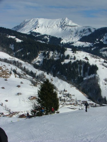 DSCF6349.JPG (55KB)