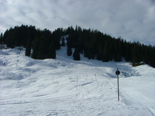 DSCF6350.JPG (41KB)