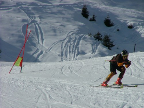 DSCF6352.JPG (46KB)