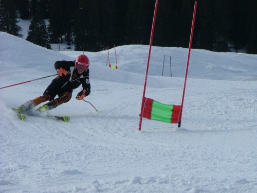 DSCF6375.JPG (43KB)