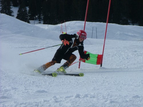DSCF6376.JPG (43KB)
