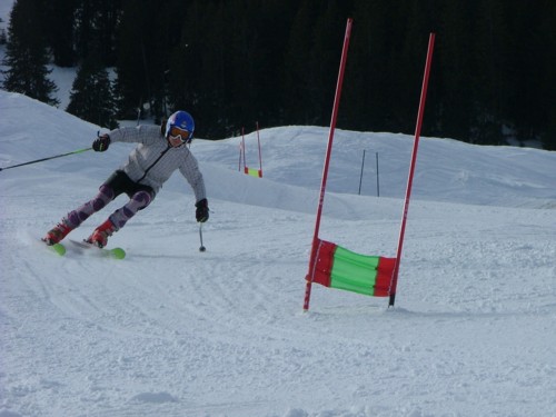 DSCF6379.JPG (41KB)