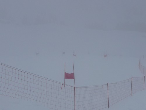 P1000490.JPG (16KB)
