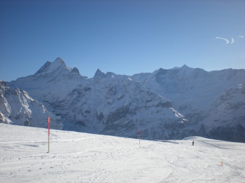 DSCN2727.JPG (32KB)