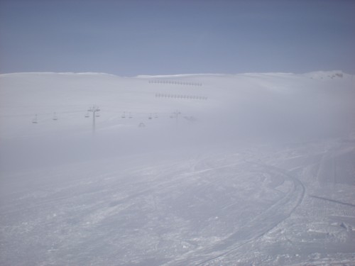 DSCN2776.JPG (20KB)