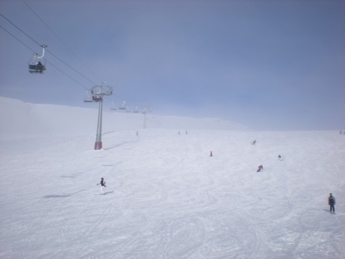 DSCN2799.JPG (23KB)
