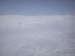 DSCN2776.JPG (20KB)