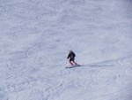 DSCN1097.JPG (47KB)