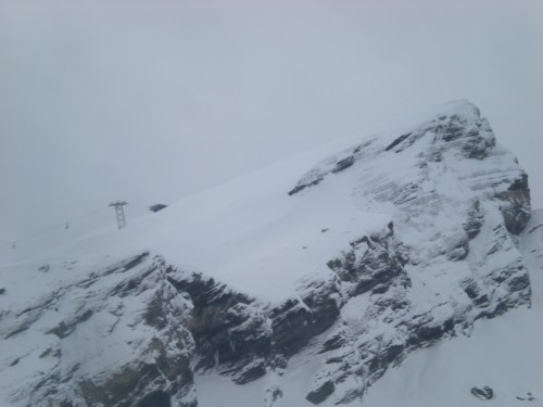 DSCN4229.JPG (29KB)