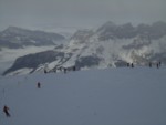 DSC00933.JPG (21KB)