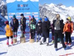 BOSV MS SL 030.JPG (71KB)