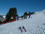DSCF0010.JPG (50KB)