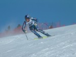 DSCF0139.JPG (30KB)