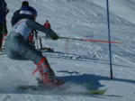 DSCF0123.JPG (55KB)