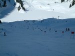 DSCF0061.JPG (30KB)
