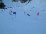 DSCF0092.JPG (27KB)