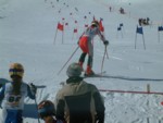 DSCF0139.JPG (42KB)