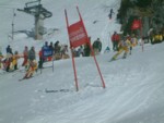 DSCF0147.JPG (47KB)
