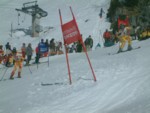 DSCF0149.JPG (47KB)