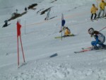 DSCF0153.JPG (44KB)