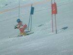 DSCF0164.JPG (34KB)