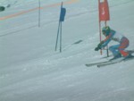 DSCF0165.JPG (33KB)