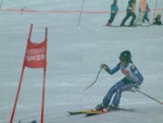 DSCF0171.JPG (40KB)