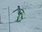 DSCF0147.JPG (42KB)