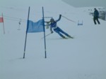 DSCF0010.JPG (20KB)