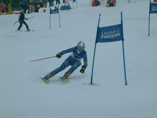 DSCF0012.JPG (30KB)