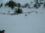 DSCF0010.JPG (37KB)