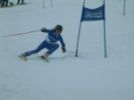 DSCF0028.JPG (23KB)