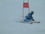 DSCF0032.JPG (23KB)