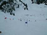 DSCF0044.JPG (35KB)