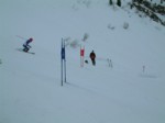 DSCF0046.JPG (21KB)