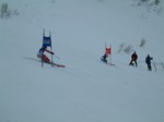 DSCF0048.JPG (20KB)