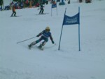 DSCF0055.JPG (31KB)