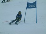 DSCF0077.JPG (27KB)